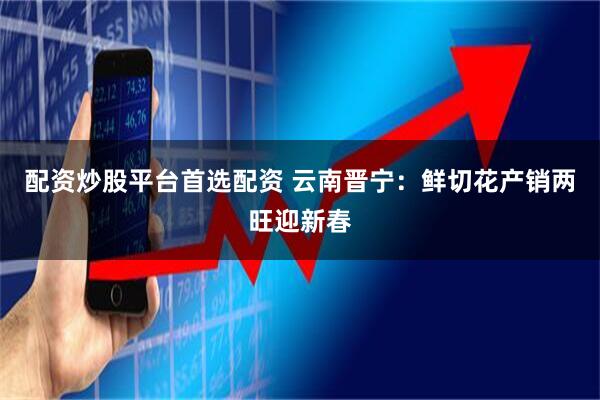 配资炒股平台首选配资 云南晋宁：鲜切花产销两旺迎新春